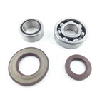KIT REVISIONE BANCO APE TM 703 KIT REVISIONE BANCO APE TM 703
