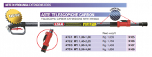 ASTA TELESCOPICA CARBON MT. 1,45-2,2 LISAM